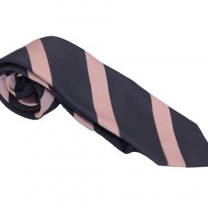 Pimlico Academy Hera tie side view