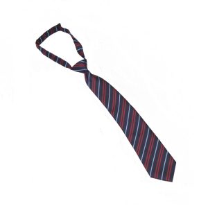 Kingsdale Velcro Tie for Swift House (blue stripe)