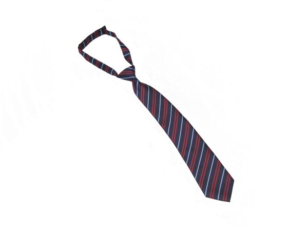 Kingsdale Velcro Tie for Swift House (blue stripe)
