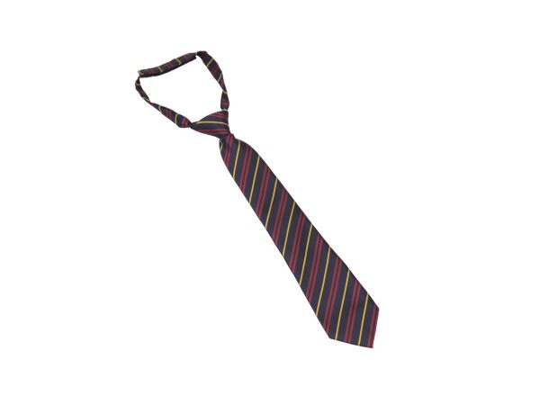 Kingsdale Velcro Tie for Albatross House (yellow stripe)