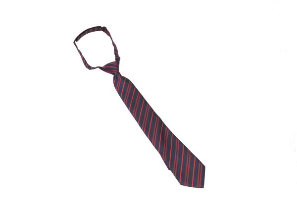 Kingsdale Velcro Tie for Falcon House (red stripe)