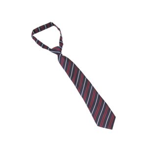 Kingsdale Velcro Tie for Dove House (silver stripe)