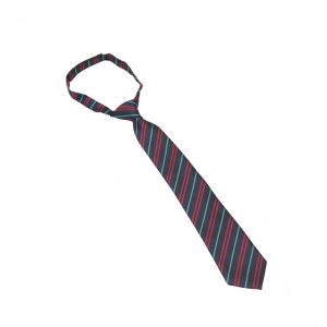 Kingsdale Velcro Tie for Eagle House (green stripe)