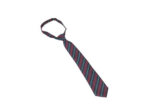 Kingsdale Velcro Tie for Eagle House (green stripe)