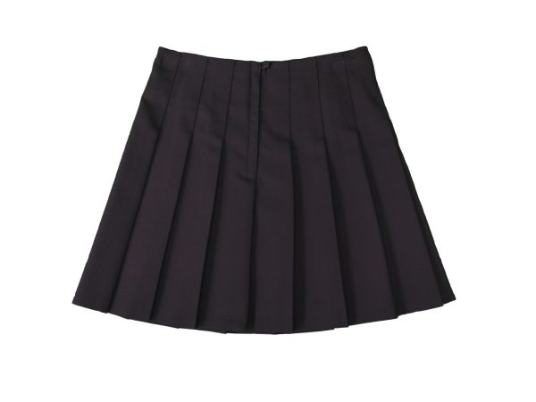 Pimlico Academy Navy Skirt
