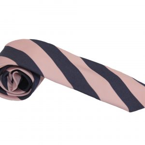 Pimlico Academy Apollo tie side view