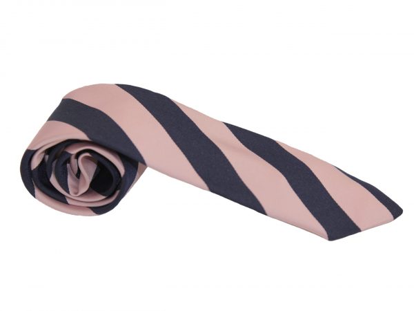 Pimlico Academy Apollo tie side view