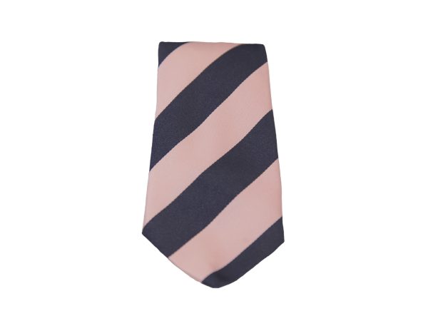 Pimlico Academy Apollo tie front view