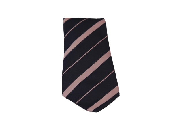 Pimlico Academy Athena tie front image