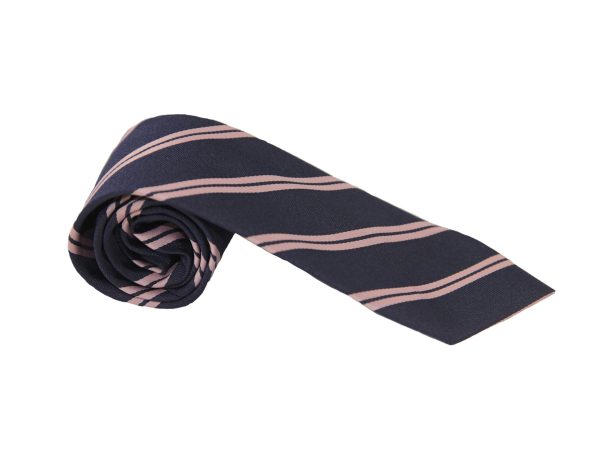 Pimlico Academy Zeus tie side view