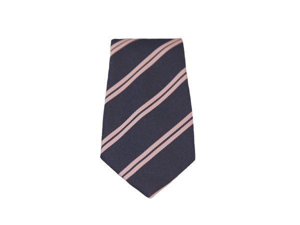 Pimlico Academy Zeus tie front view