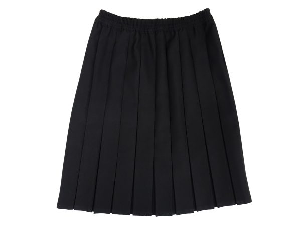 Black Box Pleat Skirt front view
