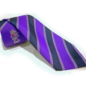 City Of London Academy Navy Stripe Tie