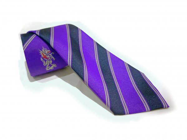 City Of London Academy Navy Stripe Tie