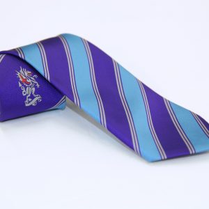City Of London Academy Blue Stripe Tie