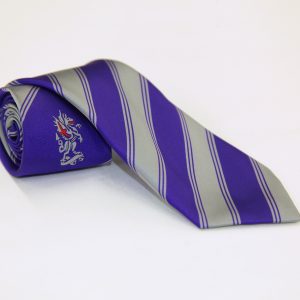 City Of London Academy Silver Stripe Tie